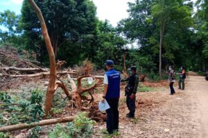 สุรินทร์-อำเภอรัตนบุรี ประสานป่าไม้ร่วมตรวจสอบบุกรุกที่หลวง พบหลักฐาน แจ้งความเอาผิดทุกราย